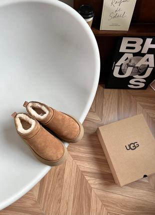 Уггі від ugg classic mini1 фото