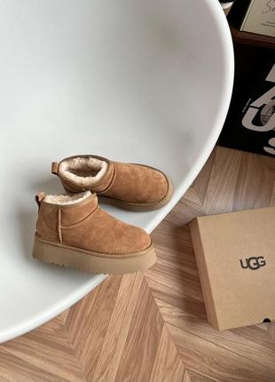 Уггі від ugg classic mini2 фото