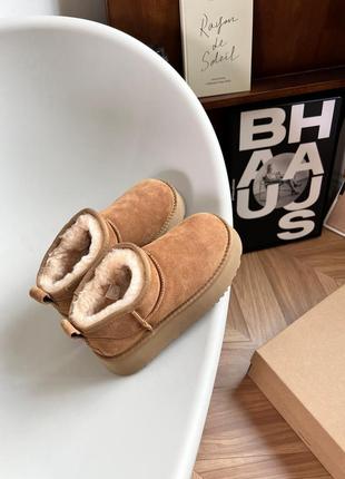 Уггі від ugg classic mini3 фото