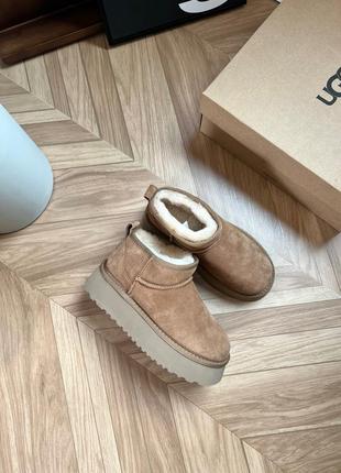 Уггі від ugg classic mini4 фото