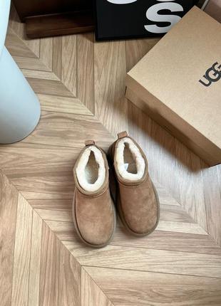 Уггі від ugg classic mini5 фото