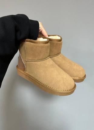 Жіночі угги ugg classic женские уггы