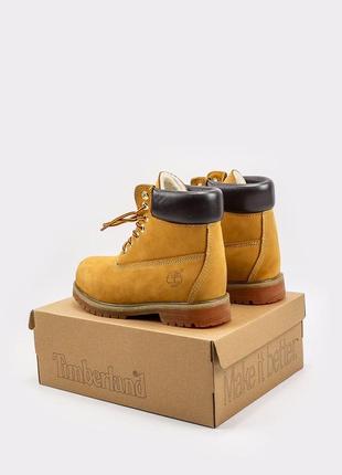 Женские высокие ботинки timberland  «ginger» без хутра8 фото