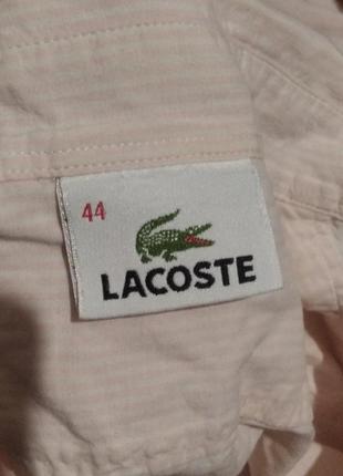 Жіноча рожева рубашка lacoste4 фото