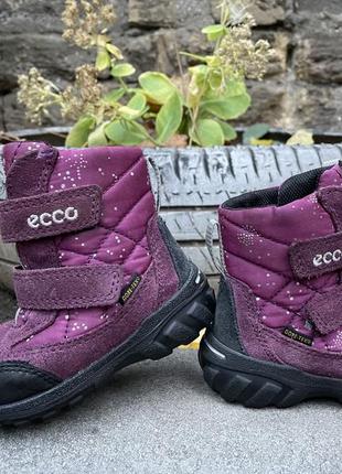 Зимние кожаные ботинки ecco gore-tex 22 р3 фото