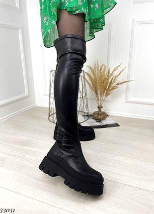 Ботфорты демисезонные