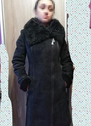 Дублянка зимова 2