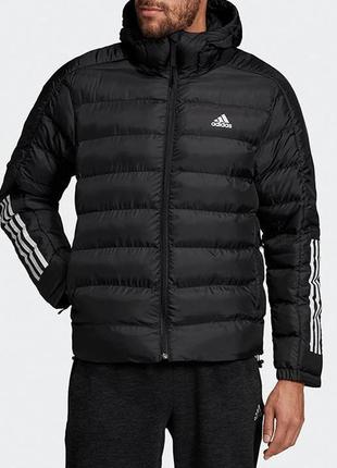 Чоловіча утеплена куртка adidas dz1388, l