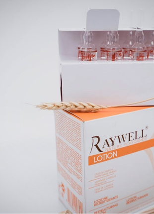 Ампулы для реконструкции волос raywell bio hidra lotion 10х10 мл (упаковка)