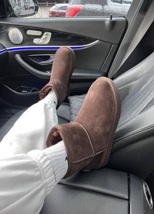 Зимові жіночі черевики ugg ❣️❣️❣️