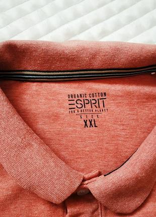 Чоловіча футболка поло esprit2 фото