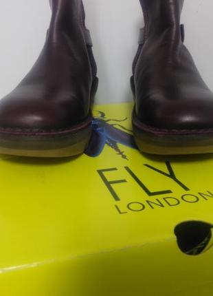Нові шкіряні черевики англійської фірми fly london