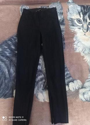 Замшеві лосіни