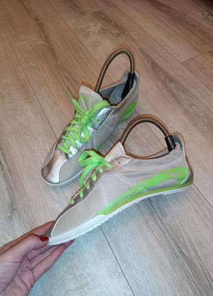 Стильні легкі кросівки для бігу і для заняття спортом everlast sport1 фото