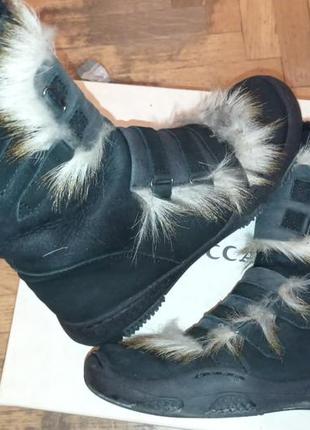 Теплі чобітки уггі зима lucca чорні нубук, р. 38, по устілці 24,5 см