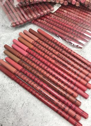 Набір матових нюдових олівців для губ makeup
