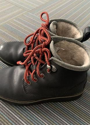 Круті чобітки ugg оригінал!