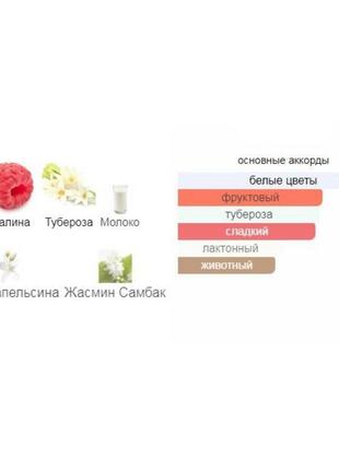 Пробник духов parfumers world so scandal женский 3 ml2 фото