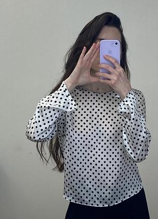 Блуза zara 3