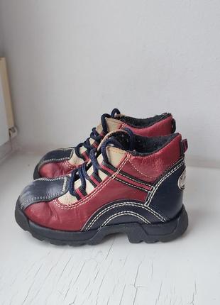 Кожаные деми демисезонные туфли сапожки ботинки baren schuhe 24р. 15.5 см.