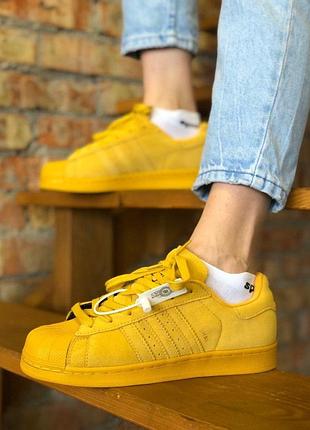 Жіночі кросівки adidas superstar  женские кроссовки адидас