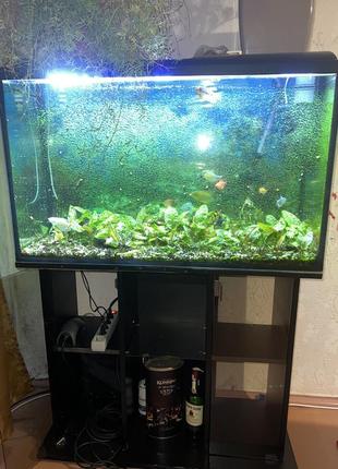 Продам акваріум1 фото