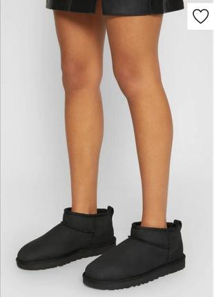 Ультрамини-сапоги ugg tazz 2023 blogger