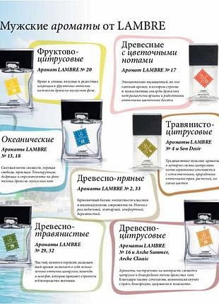 Акцимужская туалетная вода lambre №17 в стиле the one for men від dolce&gabbana объем...