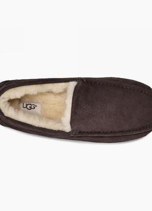 Мужские тапочки овчина ugg ascot6 фото