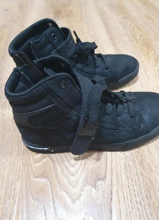 Черевички для дівчат, 35р., осінь - весна, skechers.
