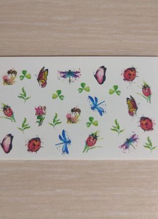 Слайдеры бабочки, стрекозы