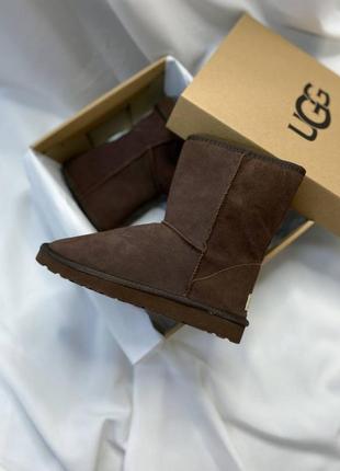 Уггі ugg classic brown1 фото