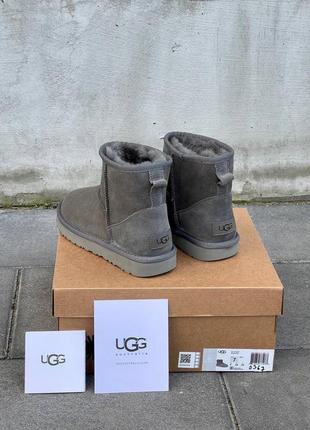 Угги ugg classic mini grey10 фото