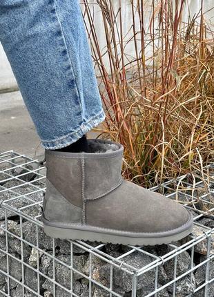 Угги ugg classic mini grey3 фото