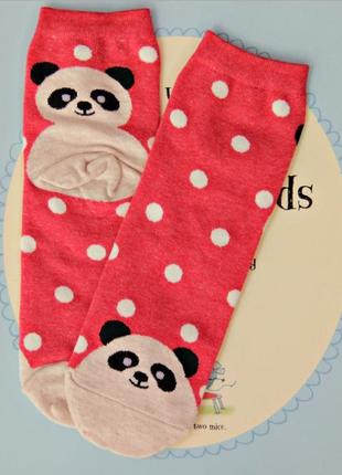 Носки на подарок