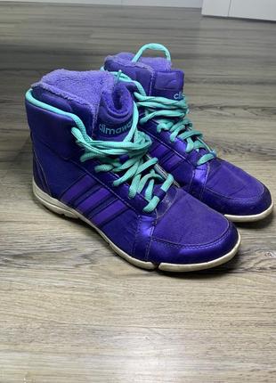 Кросівки adidas1 фото