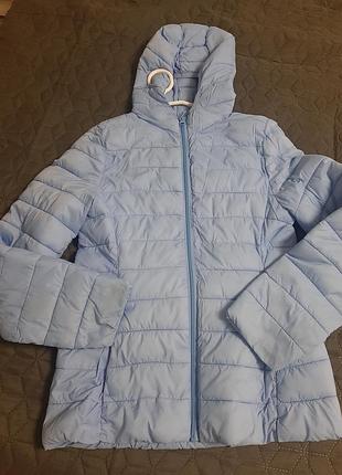 Куртка st bernard