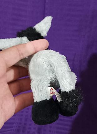 Віслюк nici5 фото