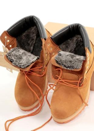 Зимові  жіночі високі  черевики timberland хутро 🆕зимові ботинки тимберленд2 фото