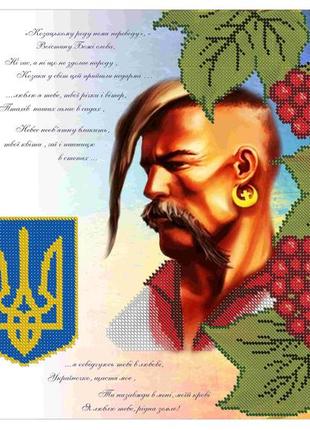 Схема для вишивання бісером магія бісеру пр-031-3 козацькому роду розмір 40 * 30 см