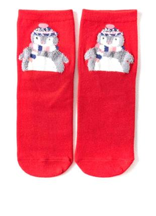 Шкарпетки з зимовим принтом пінгвін 35-391 фото