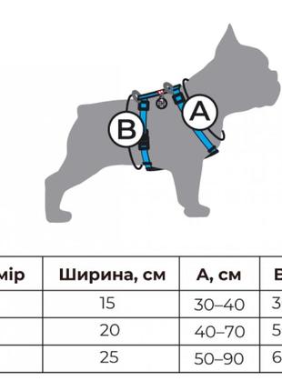 Шлей для собак анатомічний з qr паспортом, малюнок - сміливість, розмір s(a:30-40 см, b:30-50 см), ширина 15мм5 фото