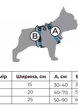 Шлея для собак анатомическая с qr-паспортом, рисунок "патрон",размер s (a:30-40 см, b:30-50 см), ширина 15 мм3 фото