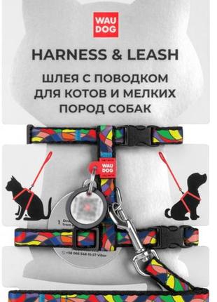 Шлейка + поводок нейлон "графити" 10мм*122см/размер xs /20-30см/25-40см  waudog nylon з qr паспортом