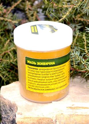 Мазь живична, 100 г