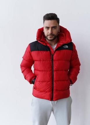 Зимова куртка пуховик червона тнф tnf the north face 700 . распродажа розпродаж2 фото