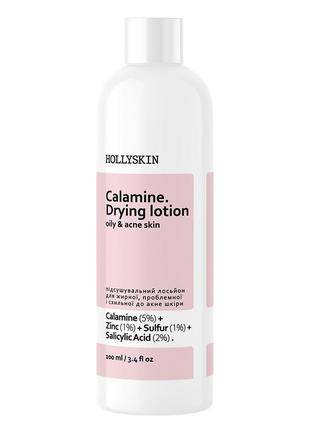 Лосьйон для жирної, проблемної та схильної до акне шкіри hollyskin calamine. drying lotion (100 мл)