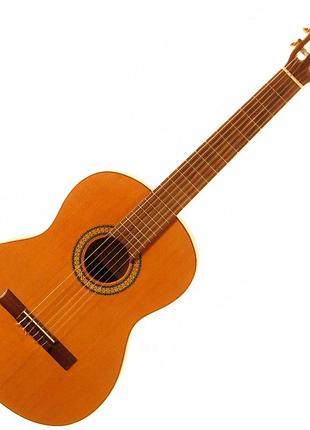 Классическая гитара rodriguez c 1 mate