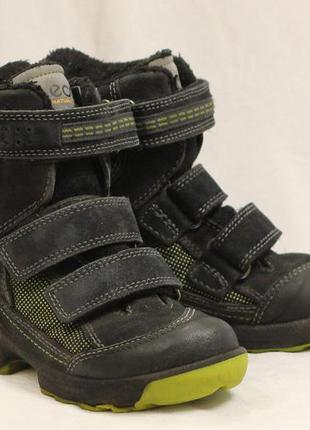 Сапоги modtray ecco biom gore-tex размер 28