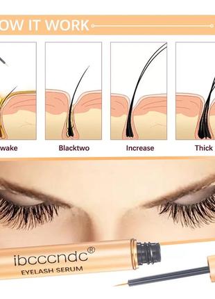 Сироватка для росту вій ibccndc3 фото